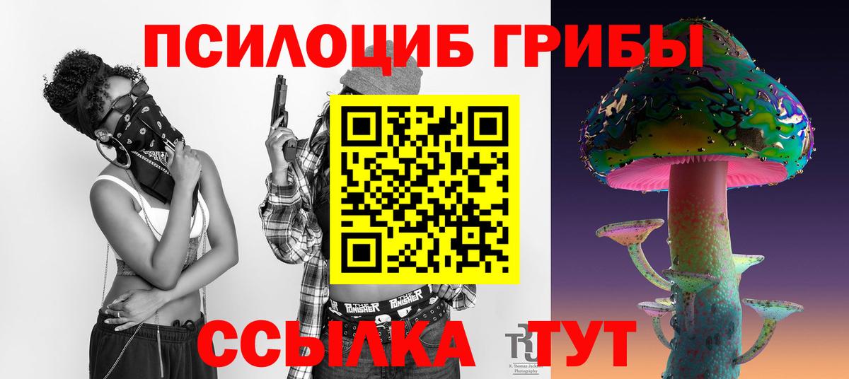 Псилоцибиновые грибы Psilocybine cubensis Георгиевск